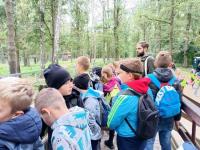 Kliknij aby zobaczyć album: Lekcja przyrody w Ośrodku Kultury Leśnej w Gołuchowie