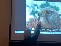 Kliknij aby zobaczyć album: Ciekawa lekcja przyrody - spotkanie z ornitologiem